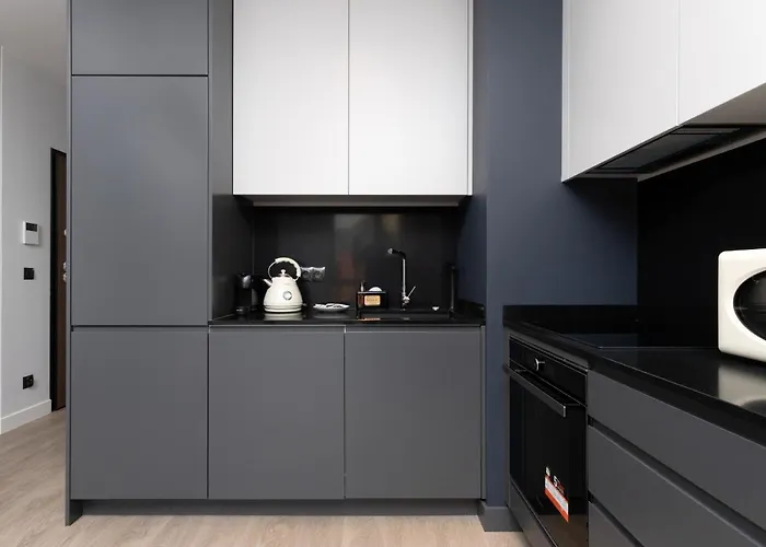 Srodmiescie Akademia Muzyczna By Renters *